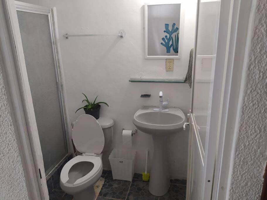 Arrecife Appartement Cancún Buitenkant foto